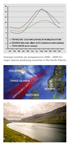 Strong currents and cool, steady sea temperature