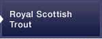 Royal Scottish Trout