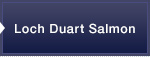 Loch Duart Salmon