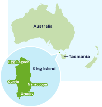 King Island