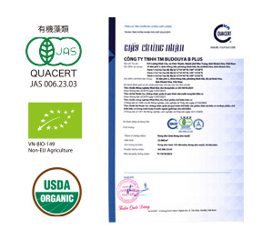 The world's first sea grapes to obtain organic JAS certification