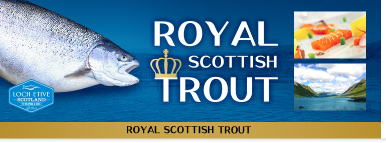 Royal Scottish Trout