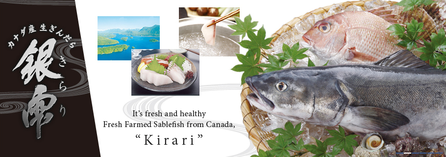 It’s fresh and healthy Fresh Farmed Sablefish from Canada, Kirari
