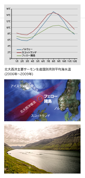 強い潮流と冷たく安定した海水温