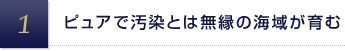 ピュアで汚染とは無縁の海域が育む