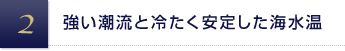 強い潮流と冷たく安定した海水温