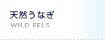 天然うなぎ