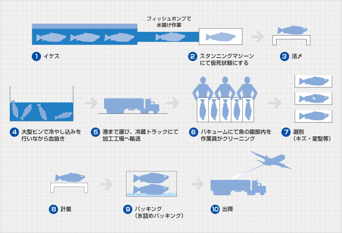 スピーディーかつ管理された工程