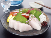 Sashimi