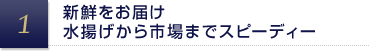 新鮮をお届け水揚げから市場までスピーディー