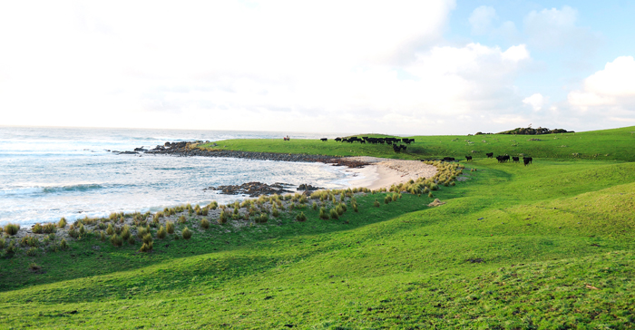 King Island