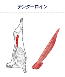 テンダーロイン