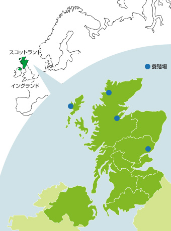 スコットランドの養殖場と加工場