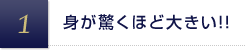 身が驚くほど大きい!!