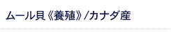 ムール貝《養殖》/カナダ産