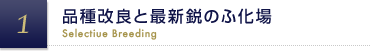 品種改良と最新鋭のふ化場