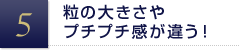 粒の大きさやプチプチ感が違う！