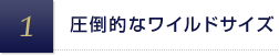 圧倒的なワイルドサイズ