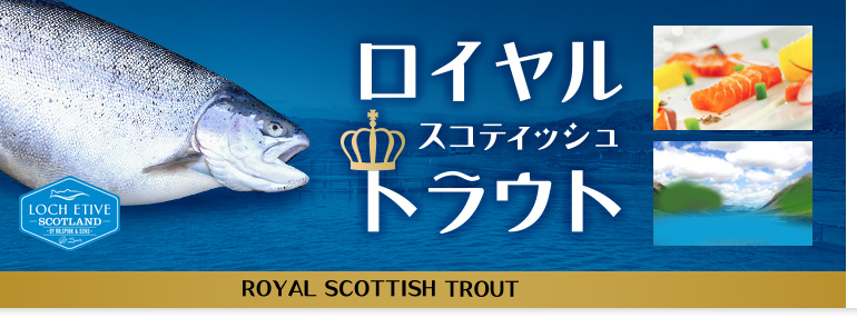 ロイヤルスコティッシュトラウト