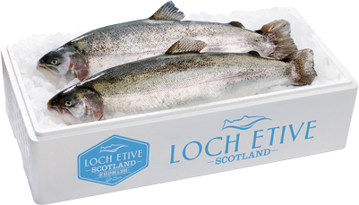 Royal Scottish Trout