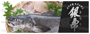 Fresh Farmed Sablefish  “Kirari”