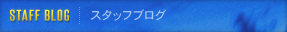 スタッフブログ